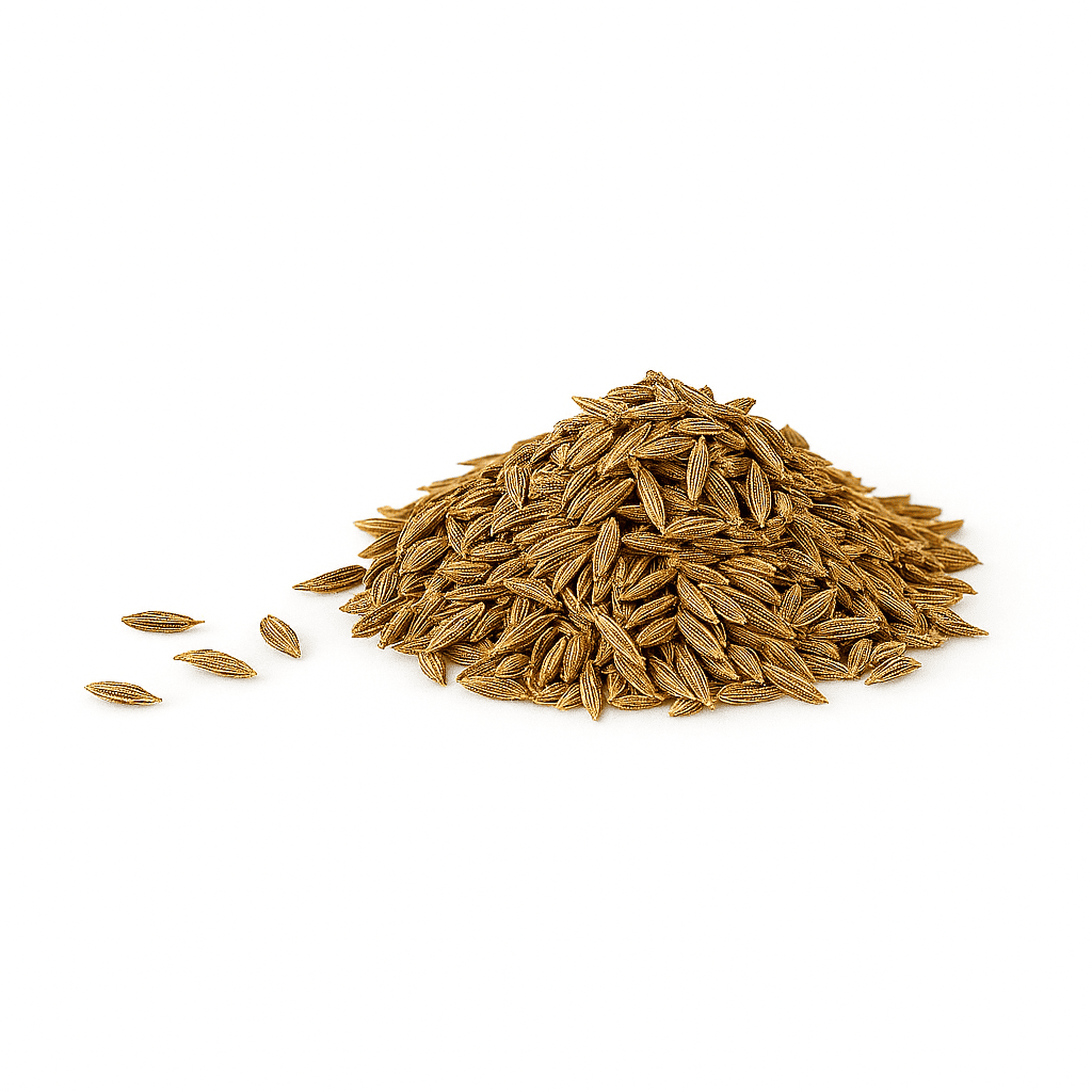 Cumin seeds